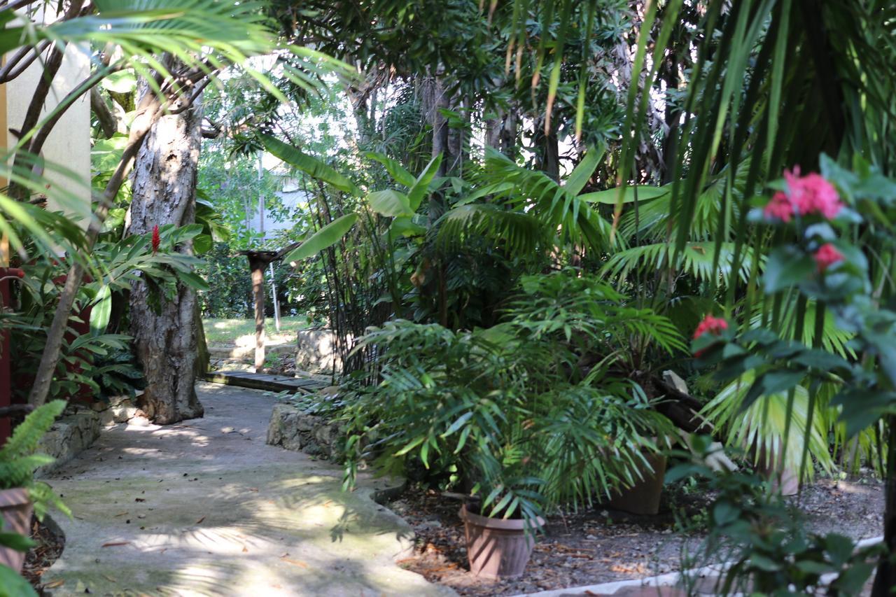 Bed and Breakfast Casa Kin33 à Cancún Extérieur photo