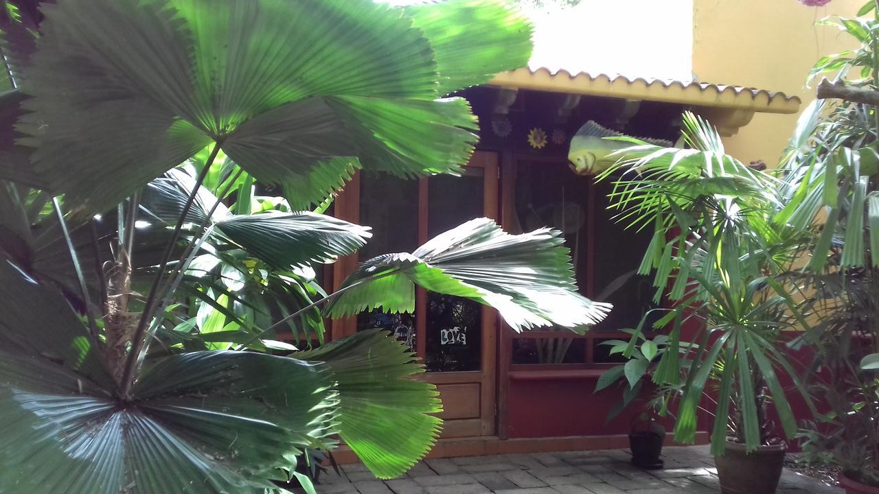Bed and Breakfast Casa Kin33 à Cancún Extérieur photo